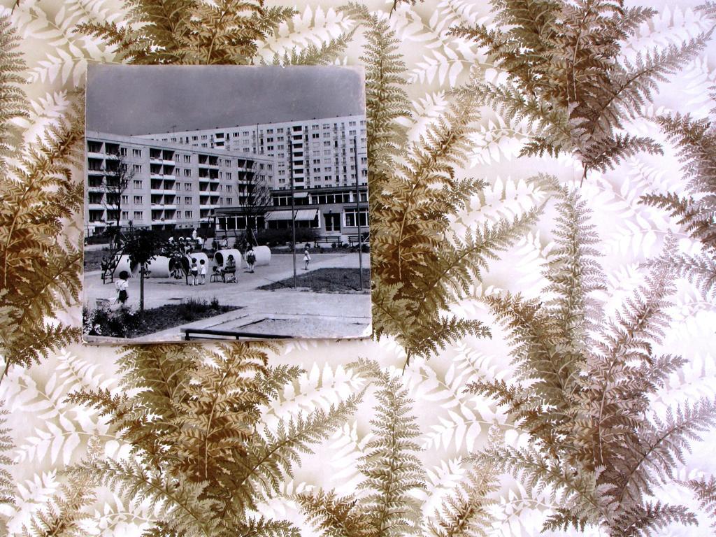 Ostel - Ddr Hostel